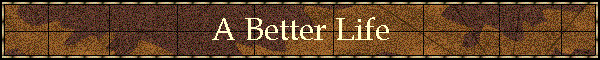 A Better Life